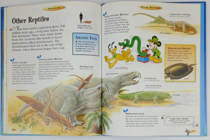 The Wonderful World Of Knowledge Dinosaurs - Image 3