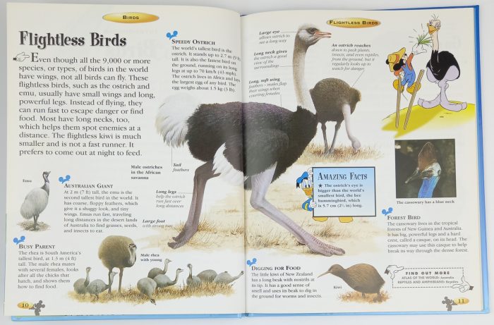 The Wonderful World Of Knowledge Birds - Image 3