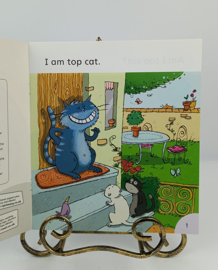 Top Cat - Image 2