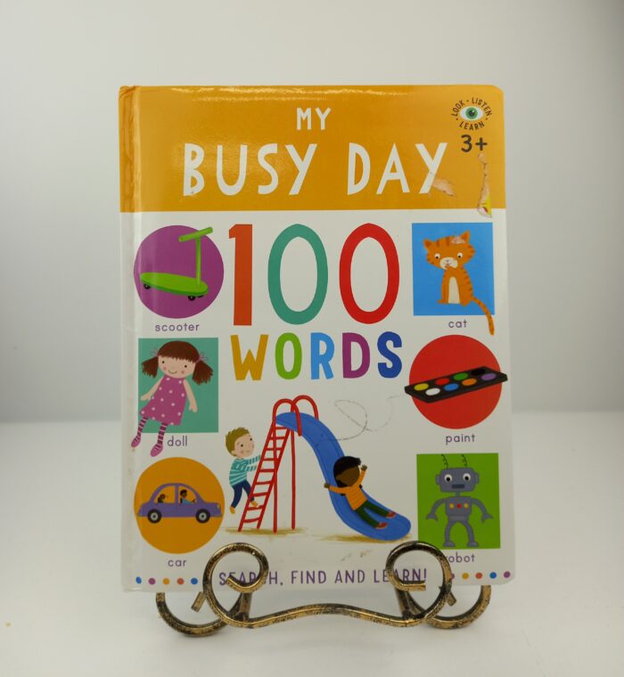 My Busy Day 100 Words