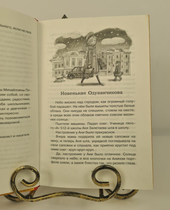 Тройка с минусом, или происшествие в 5 - Image 2