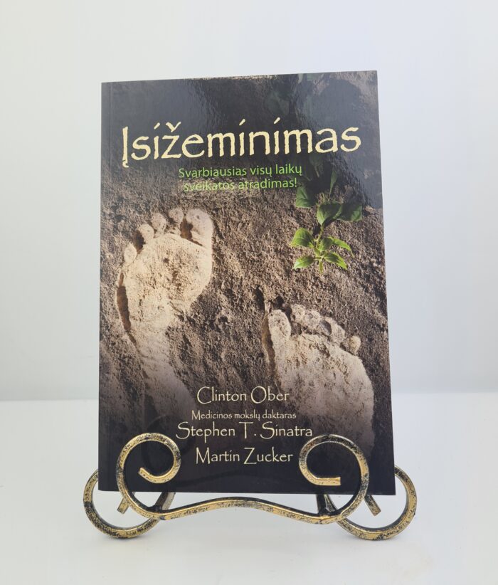 Įsižeminimas